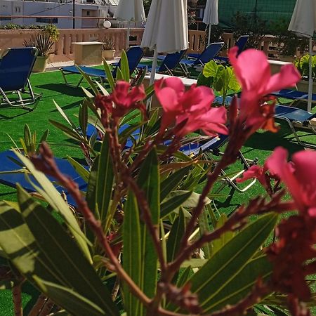 Ilona Apartments Chania Kato Daratso Oda fotoğraf