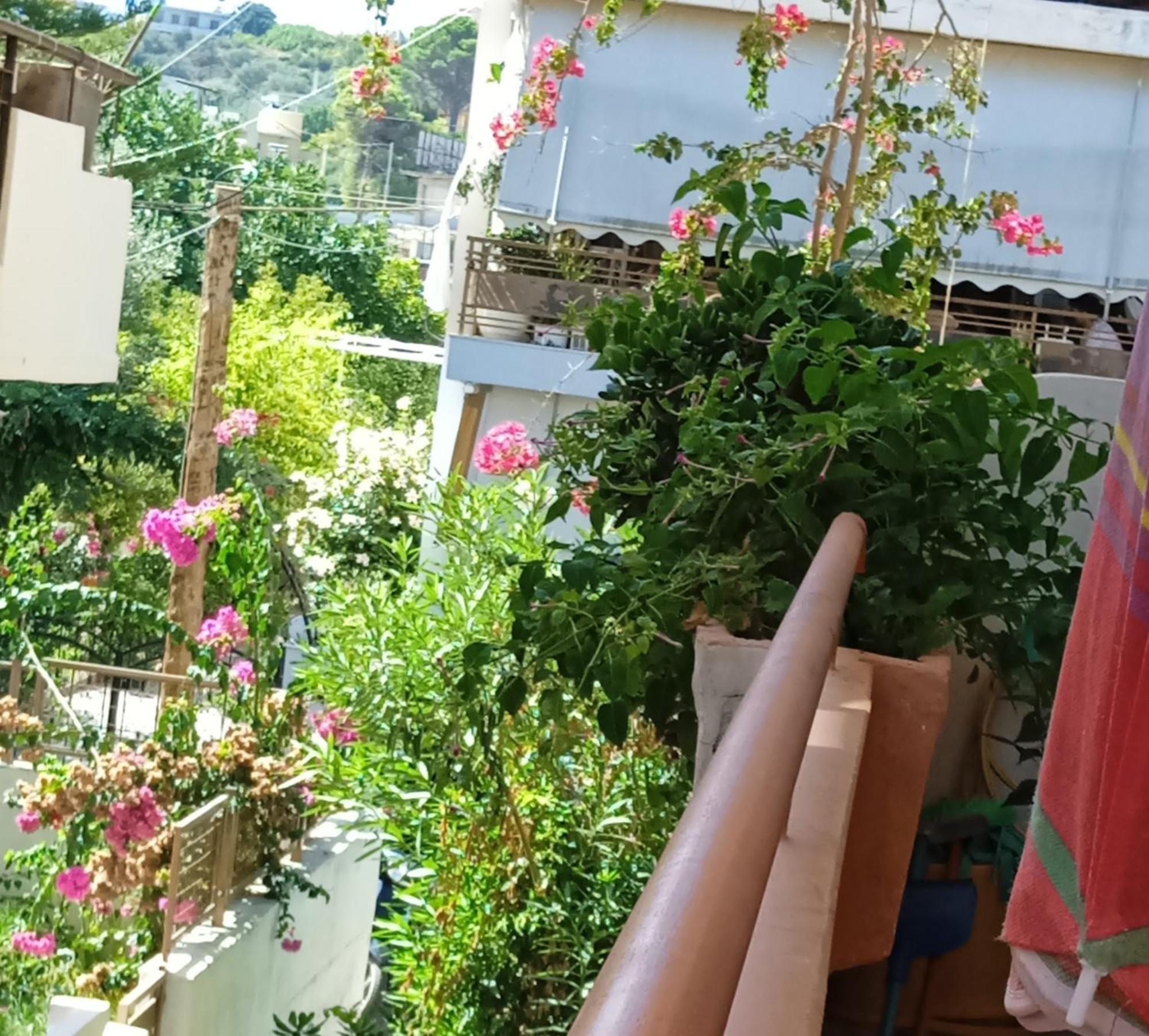 Ilona Apartments Chania Kato Daratso Oda fotoğraf