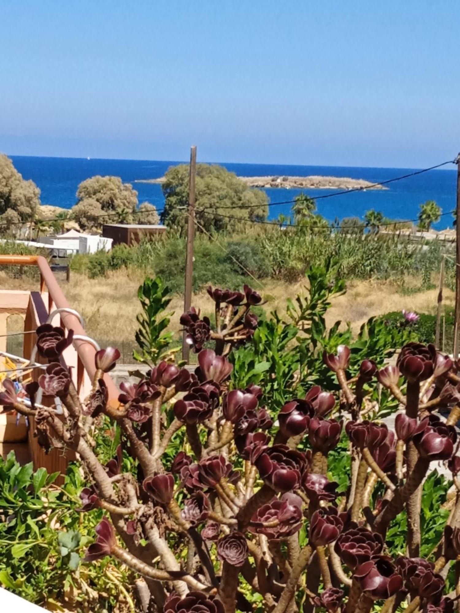 Ilona Apartments Chania Kato Daratso Oda fotoğraf
