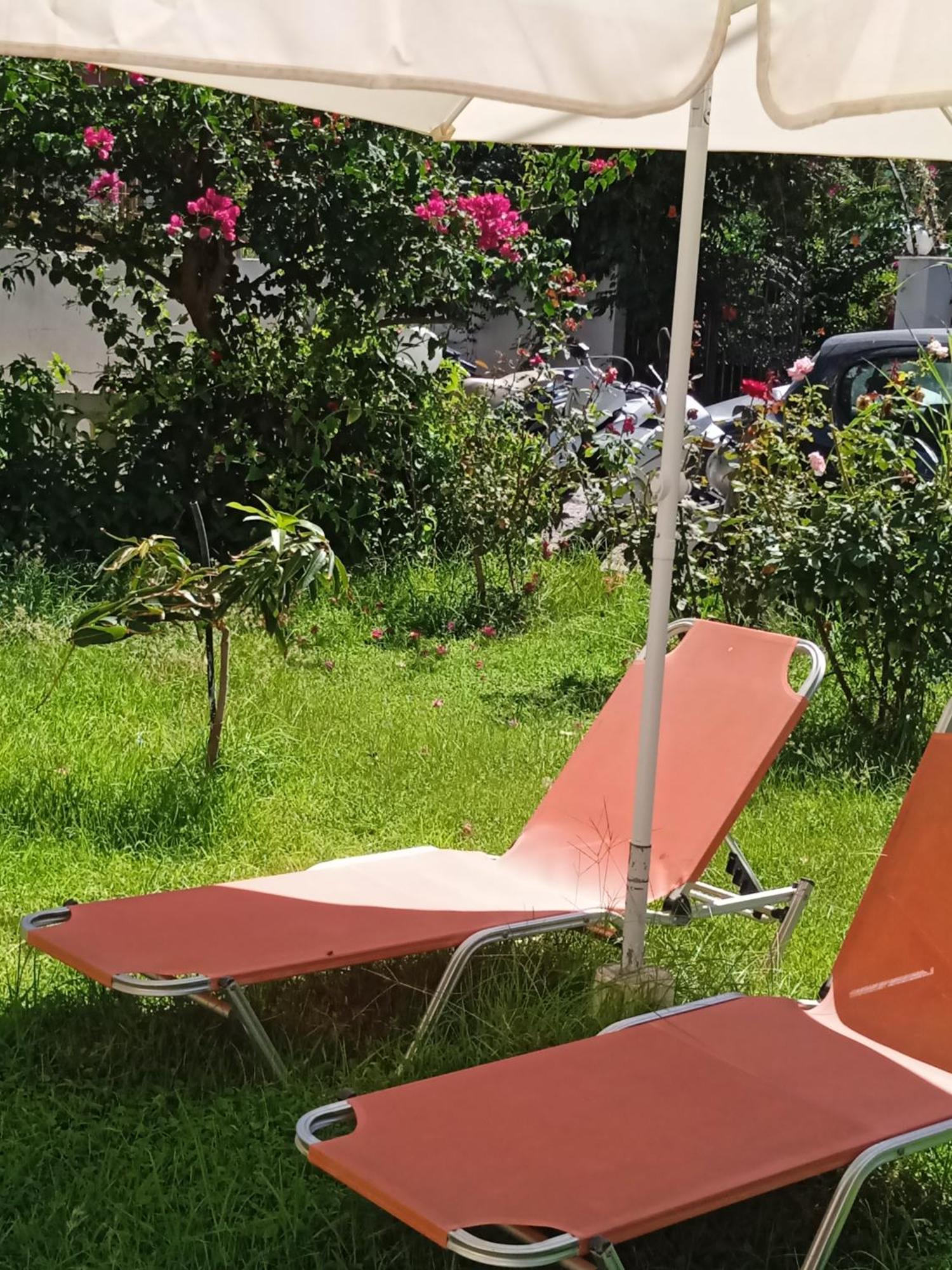 Ilona Apartments Chania Kato Daratso Oda fotoğraf