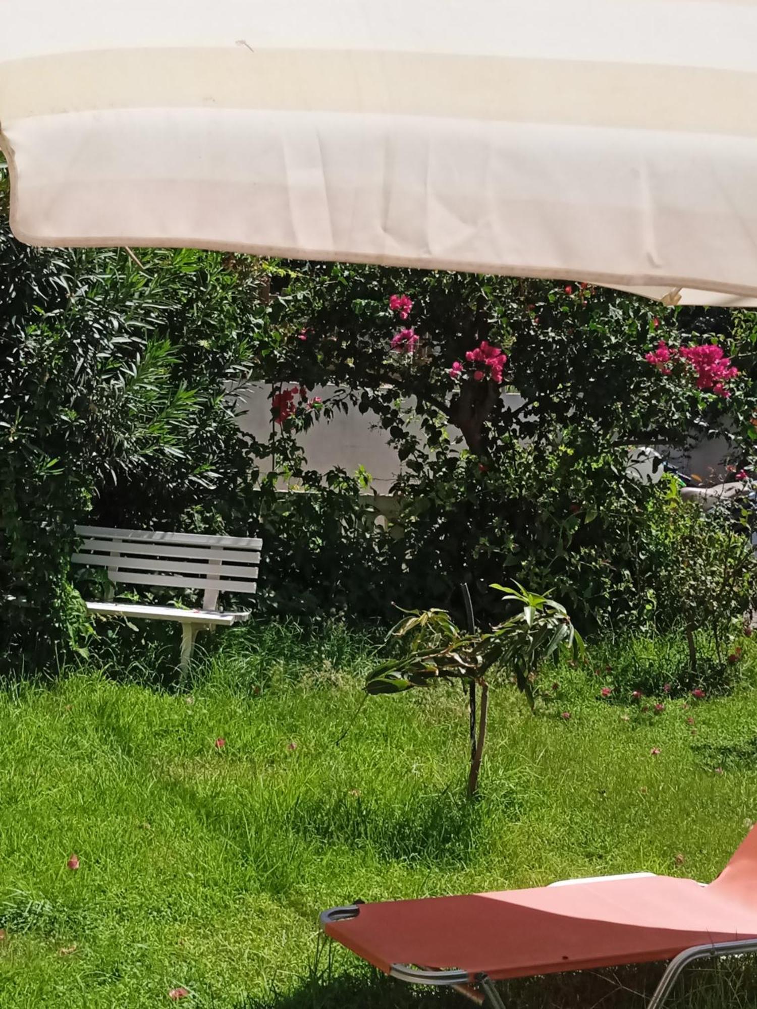 Ilona Apartments Chania Kato Daratso Oda fotoğraf