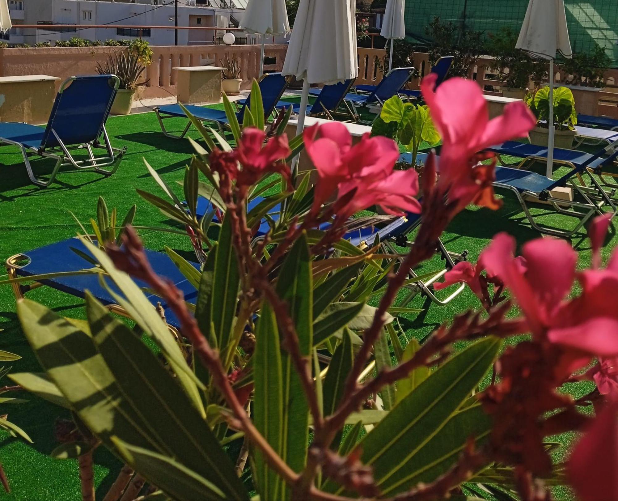 Ilona Apartments Chania Kato Daratso Oda fotoğraf